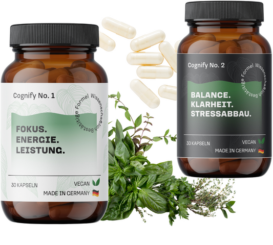 Adaptogene gegen Stress: Die Wissenschaft hinter mehr Gelassenheit & Leistung